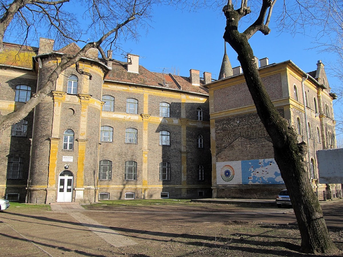 Avicenna International College photo 3