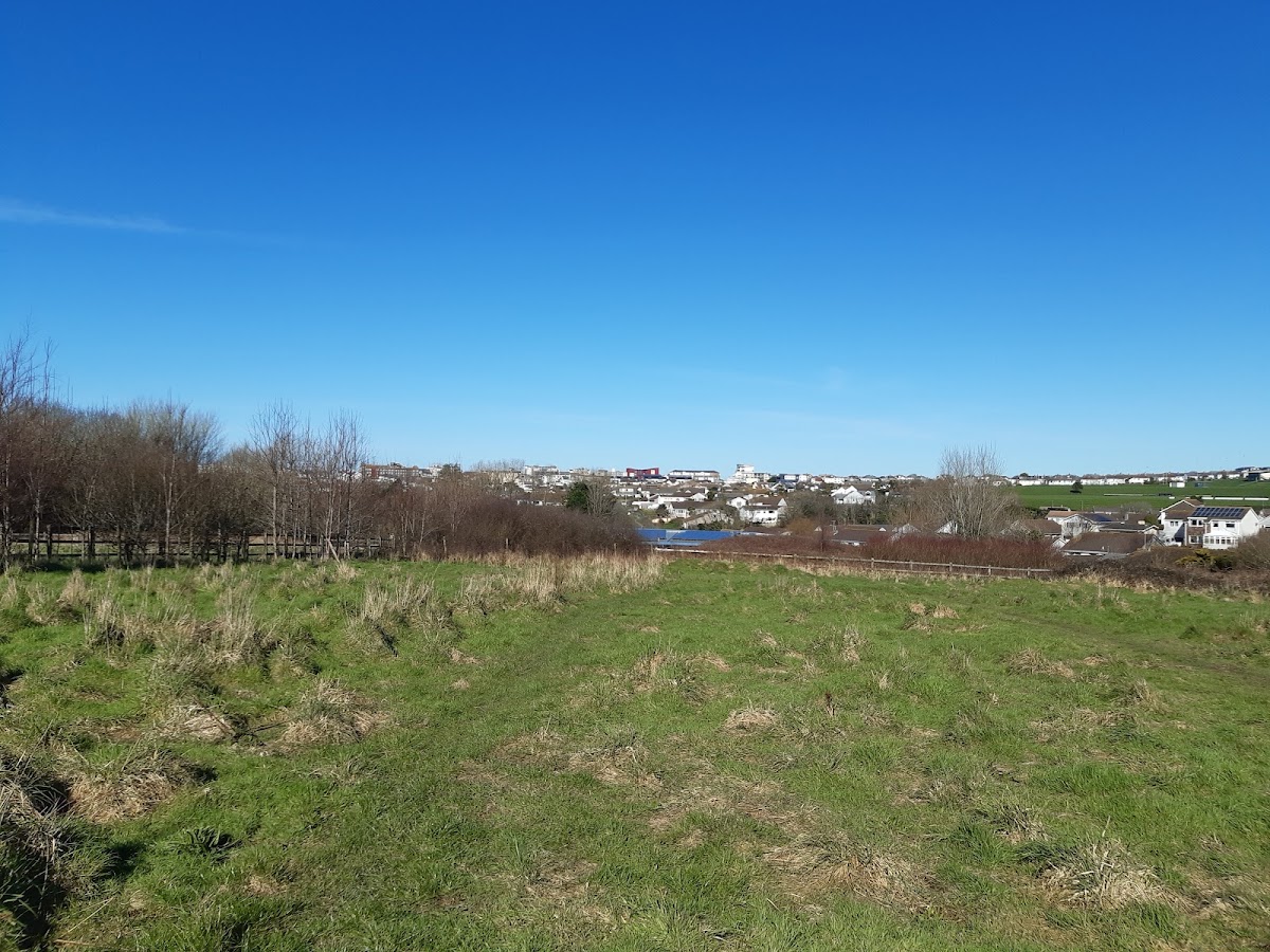 University of Cornwall photo 1