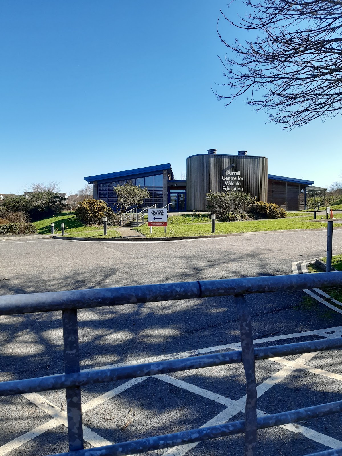 University of Cornwall photo 3