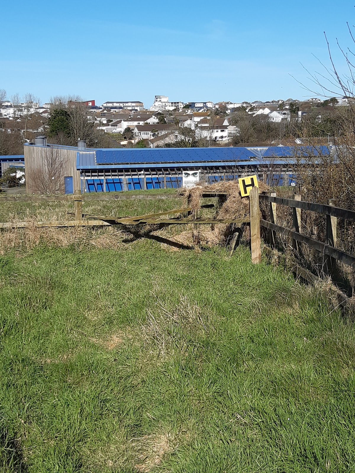 University of Cornwall photo 4