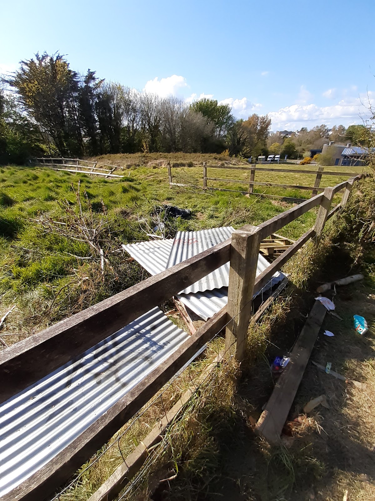 University of Cornwall photo 5