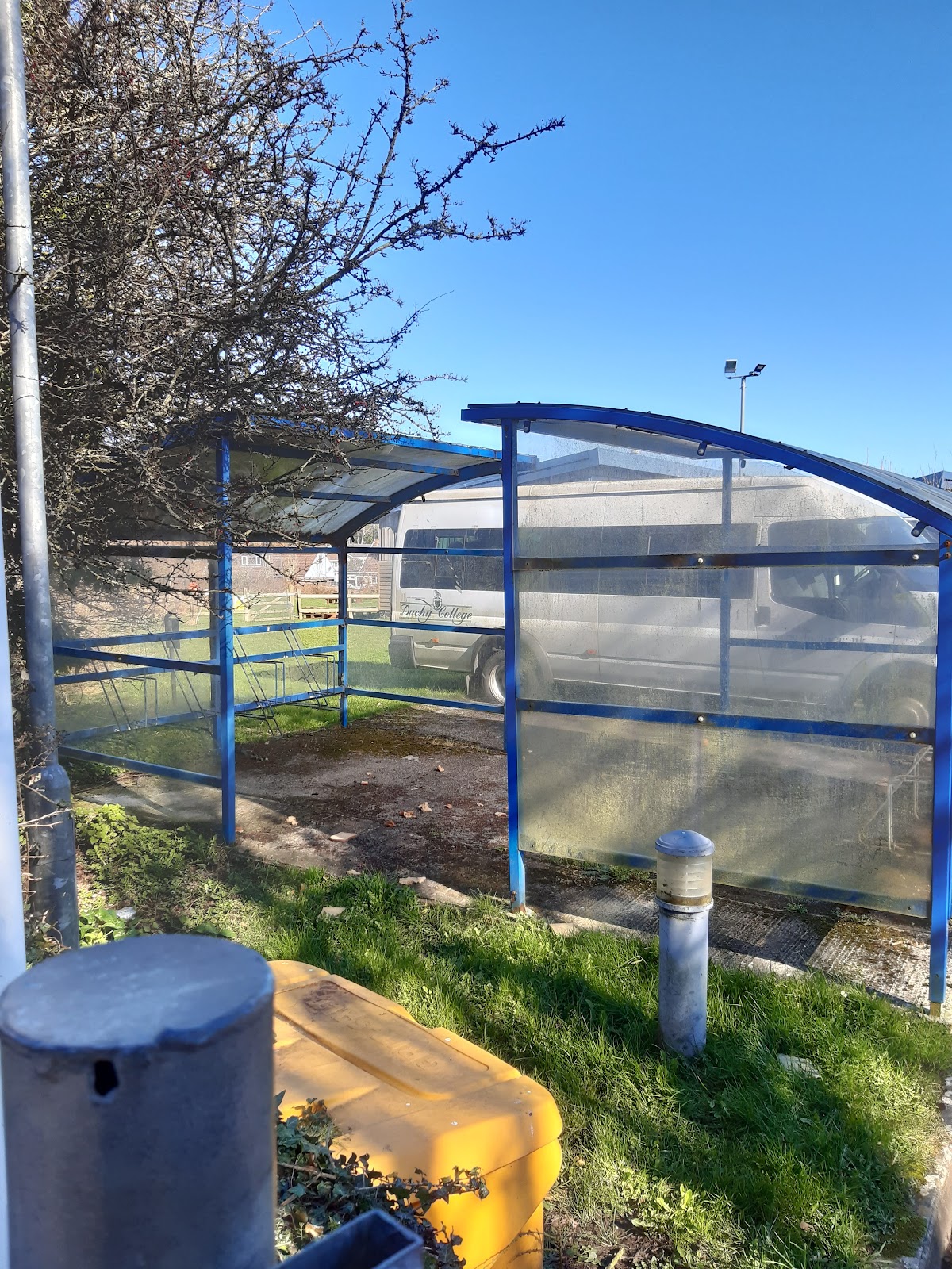 University of Cornwall photo 8