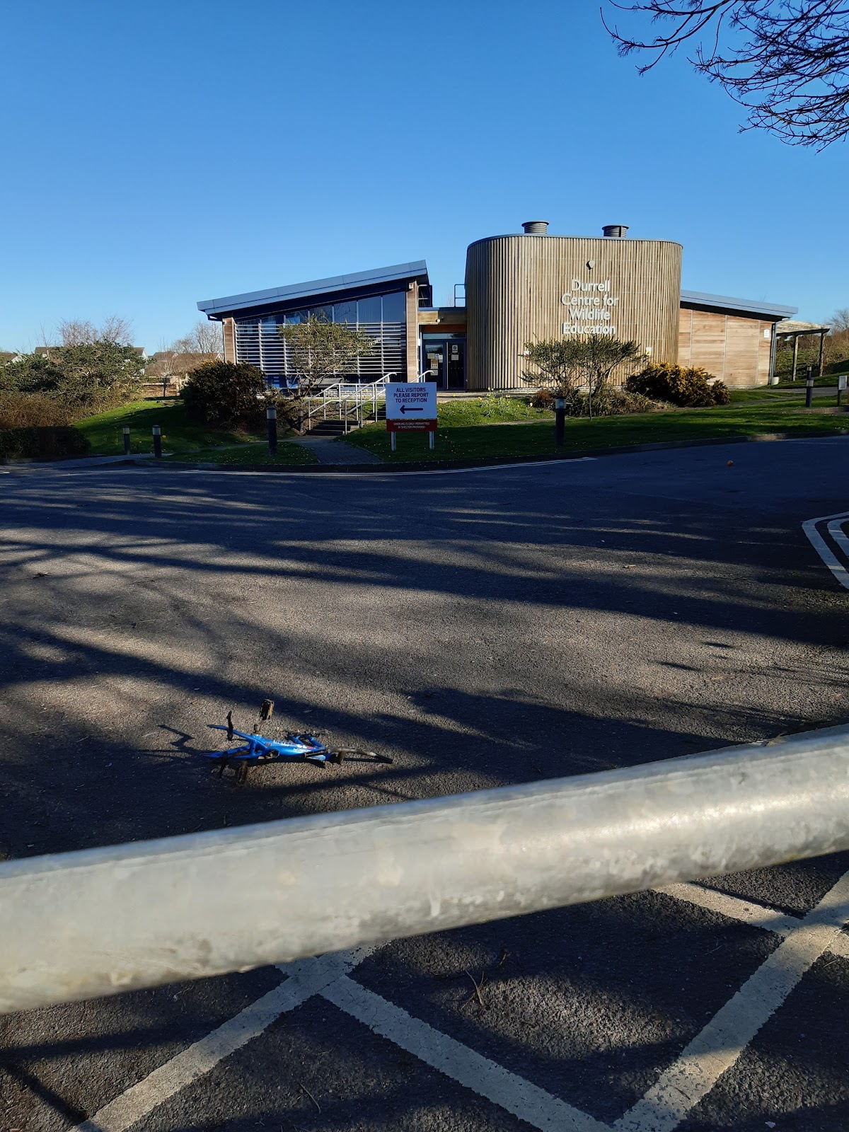 University of Cornwall photo 9