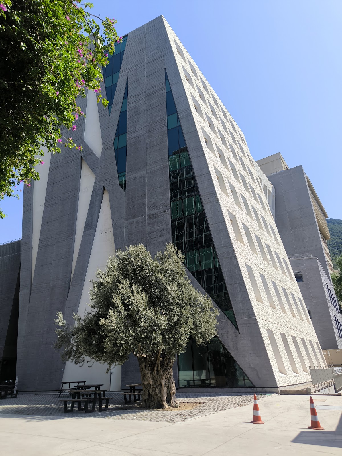 İzmir University of Economics photo 8