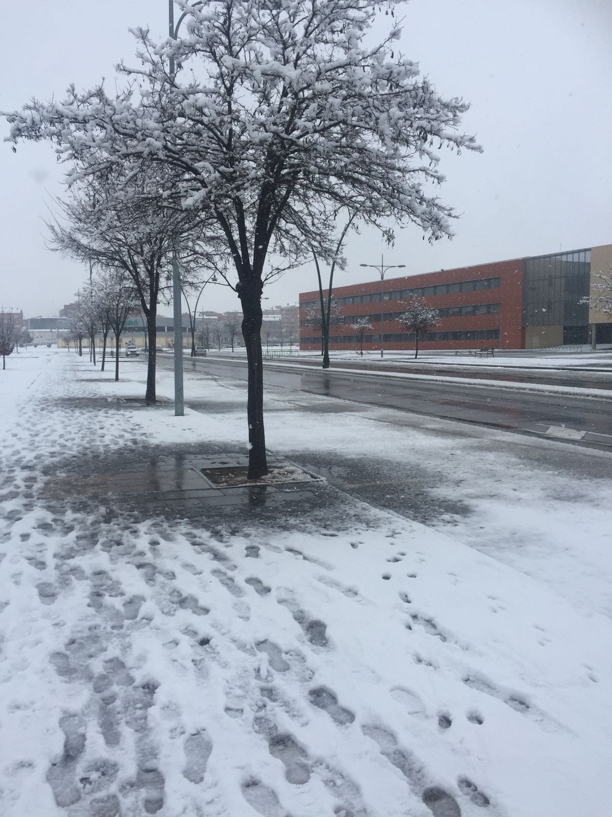 University of León photo 6