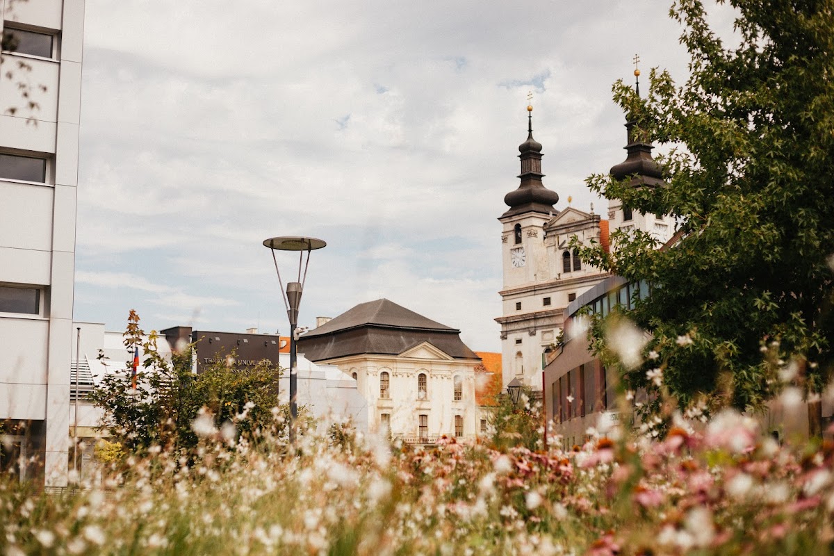 University of Trnava photo 3