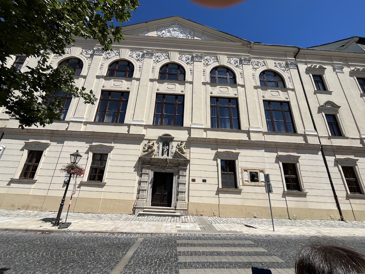 University of Trnava photo 8