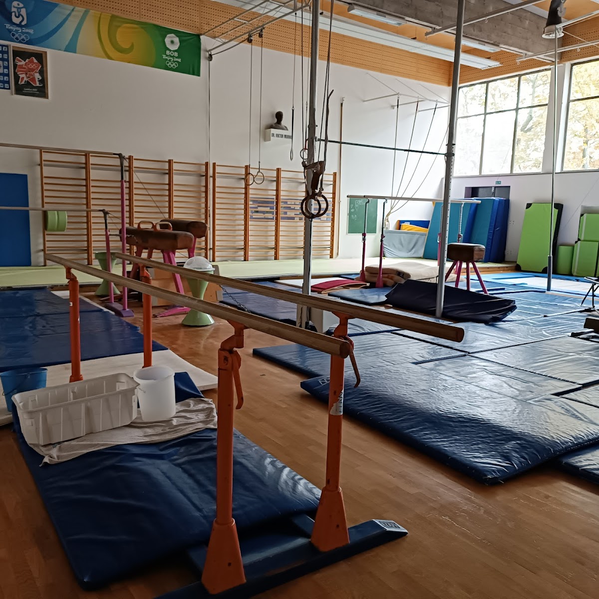 Faculty of Sport, University of Ljubljana photo 2