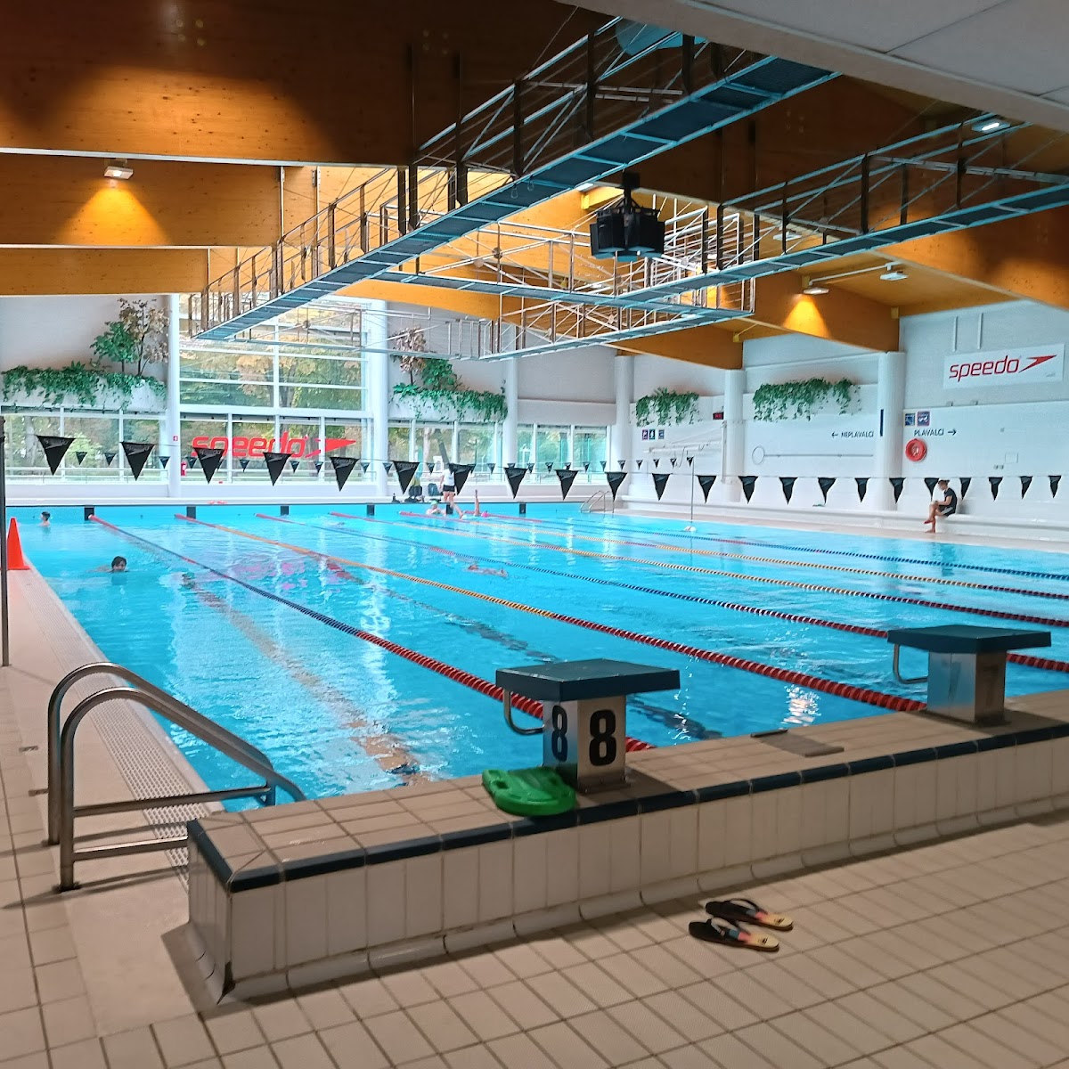 Faculty of Sport, University of Ljubljana photo 3