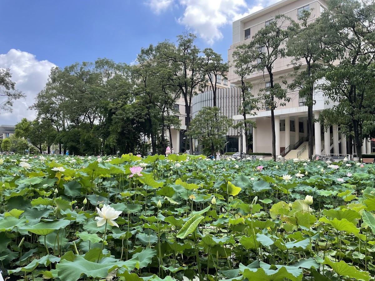 Guangxi University photo 4