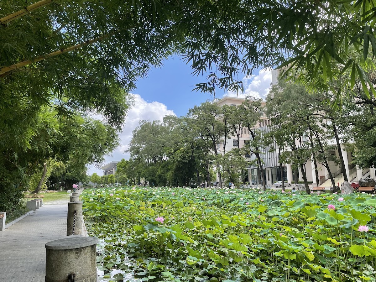 Guangxi University photo 5