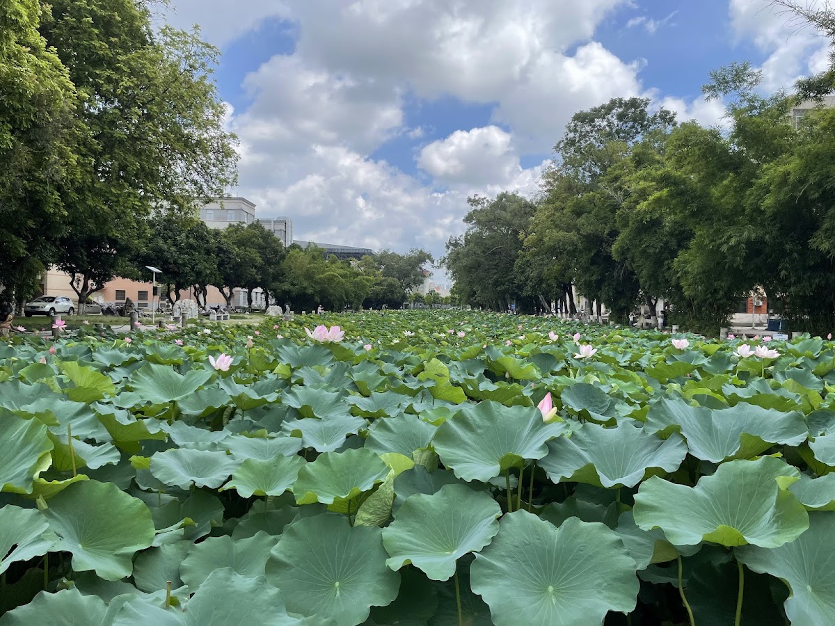 Guangxi University photo 8