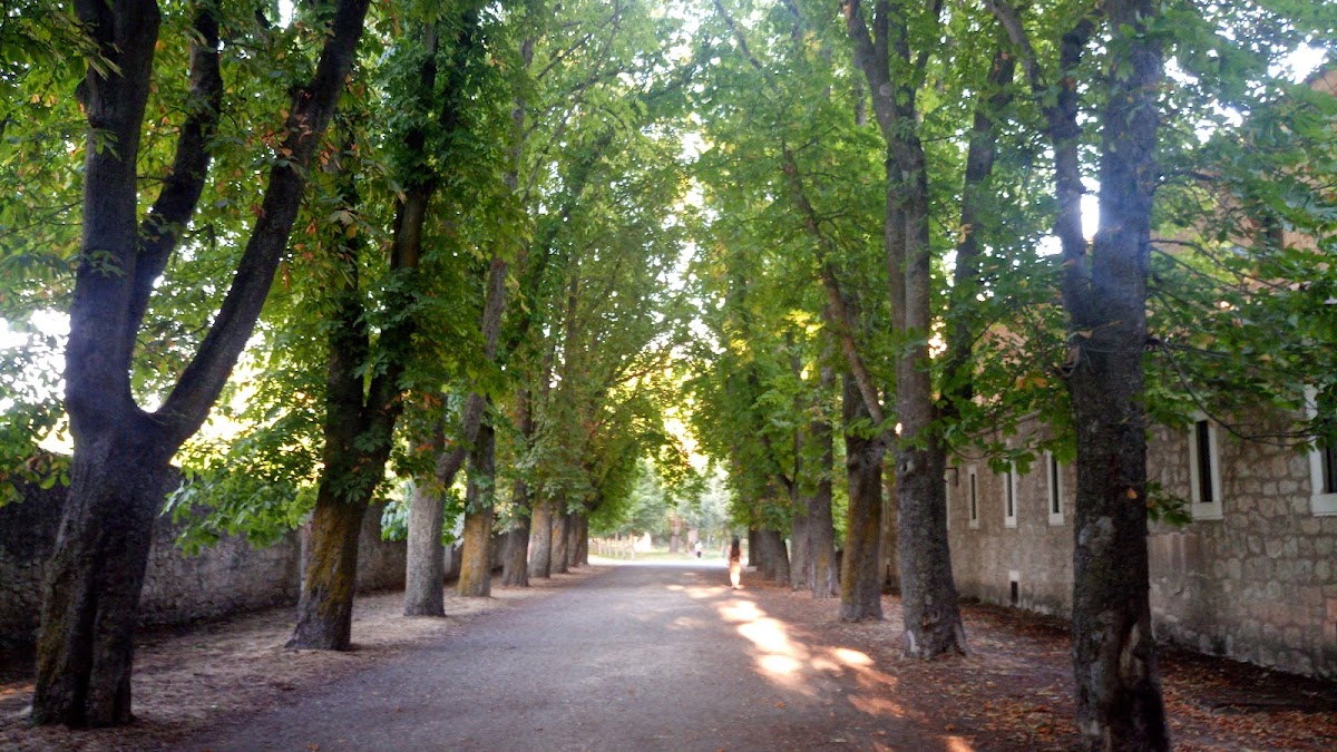 University of Burgos photo 2