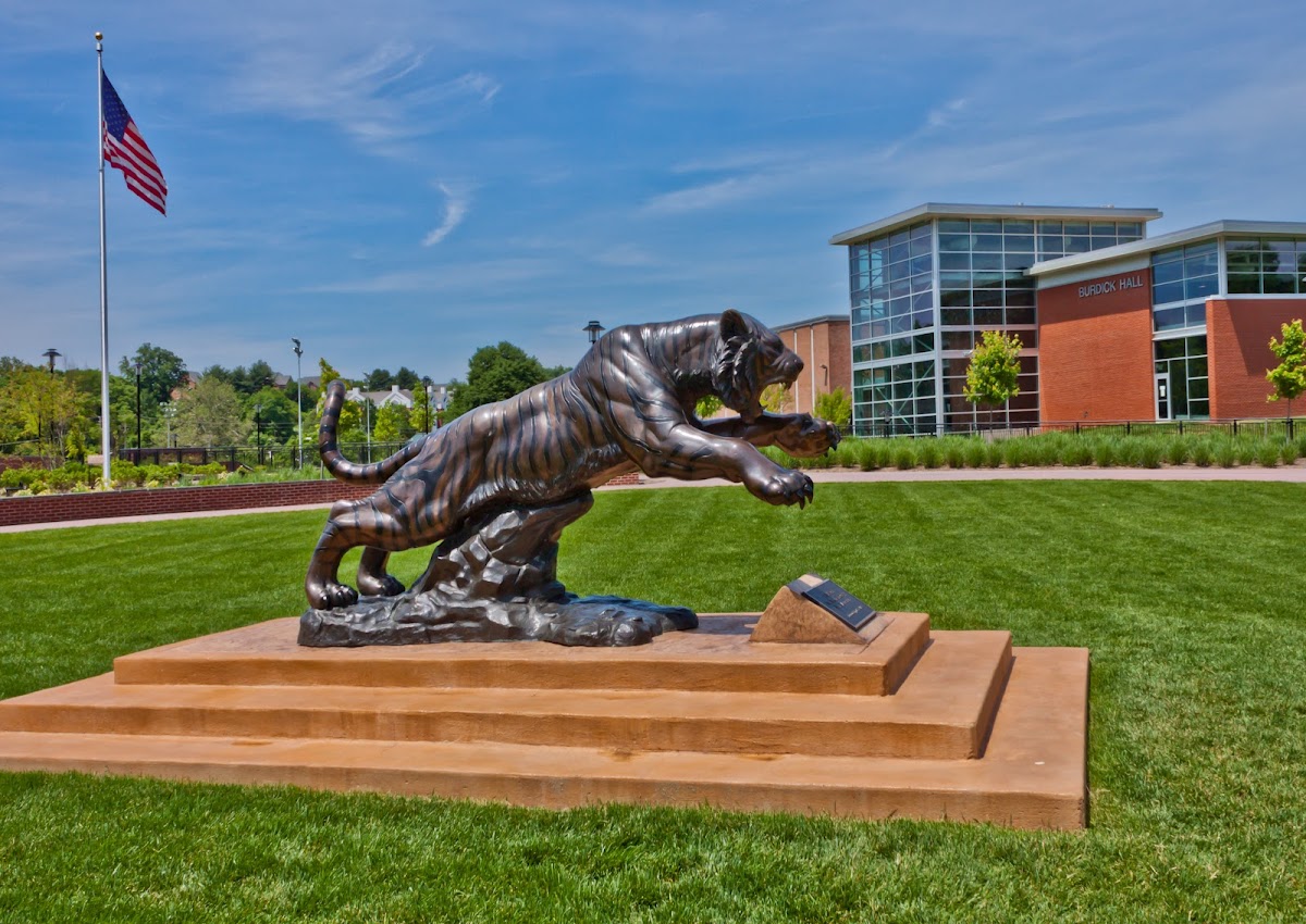 Towson University photo 3