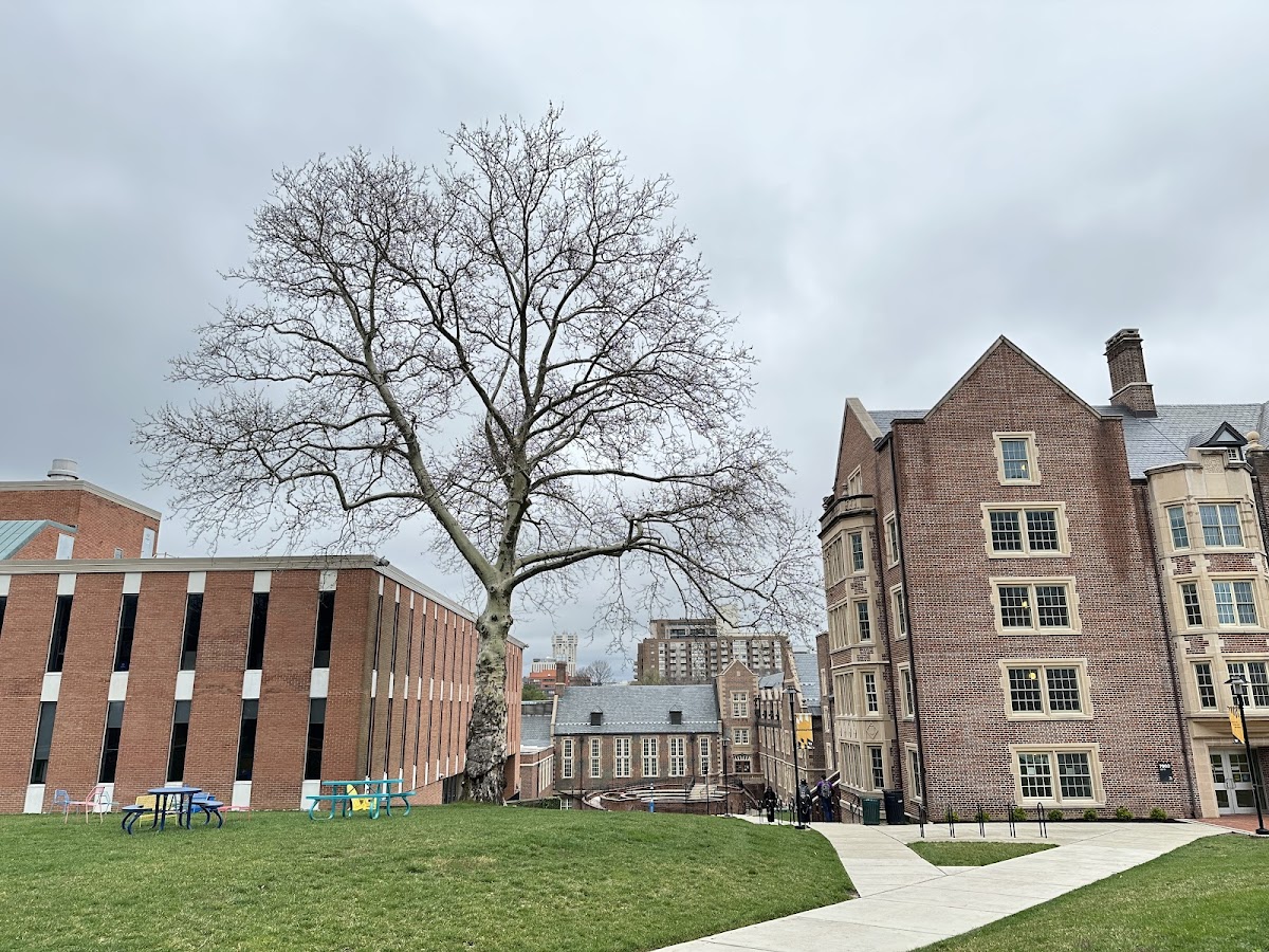 Towson University photo 7