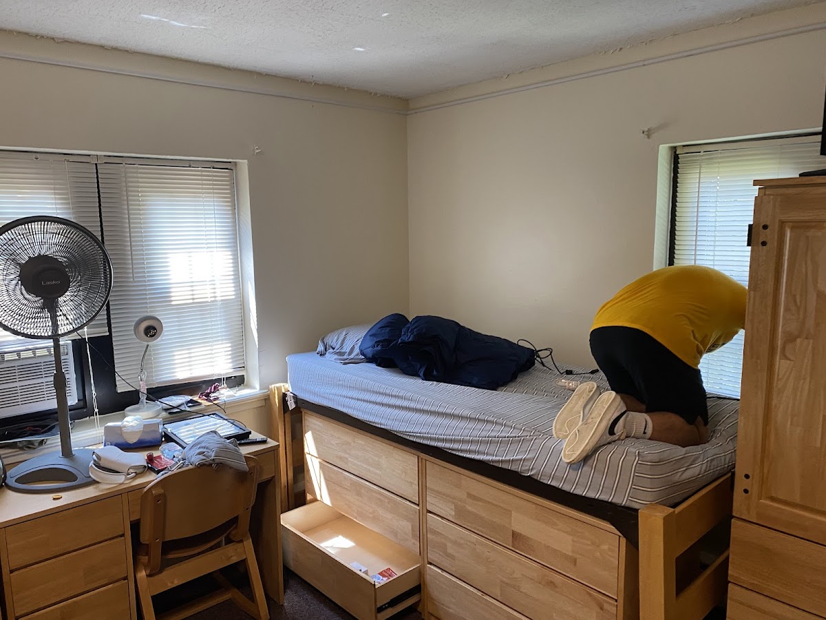 Towson University photo 8
