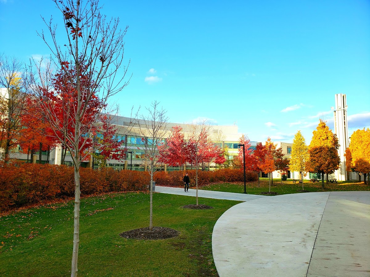 La Cité collégiale photo 6