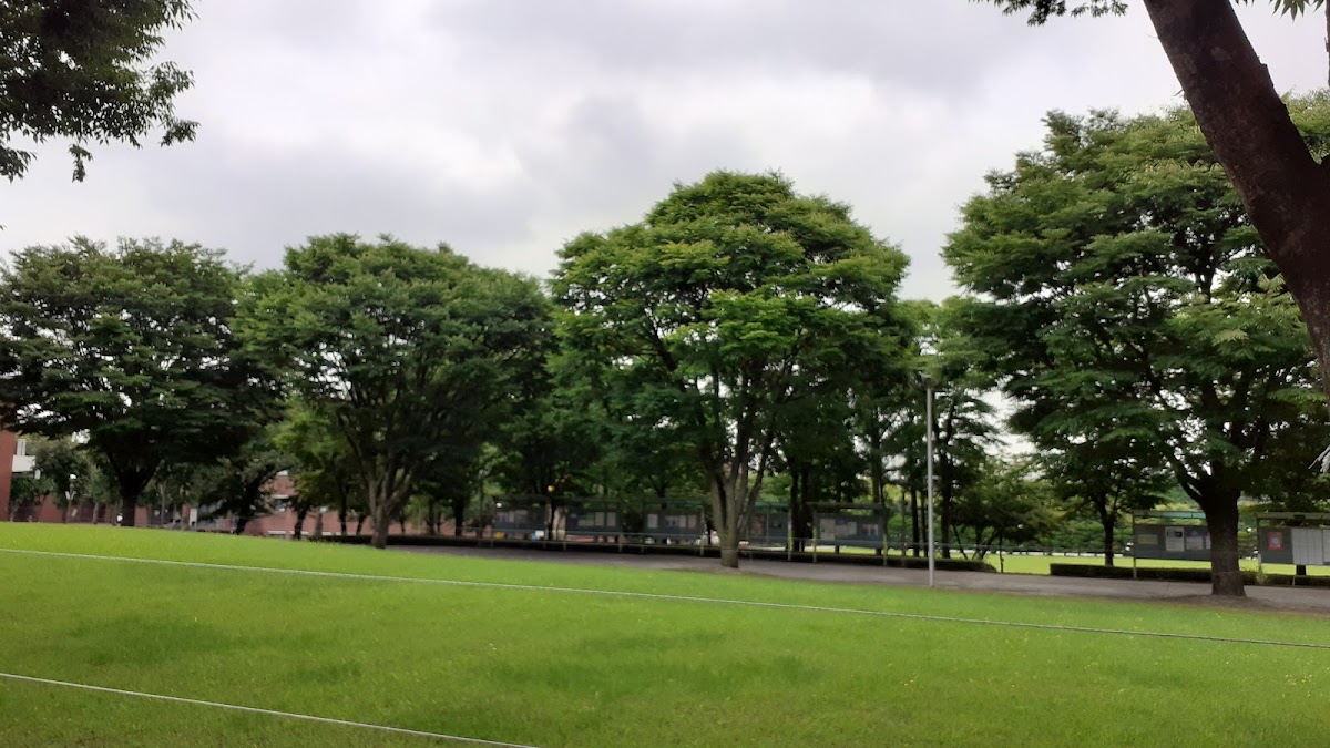 Duksung Women's University photo 1