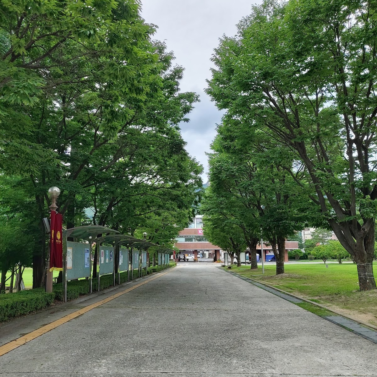 Duksung Women's University photo 9