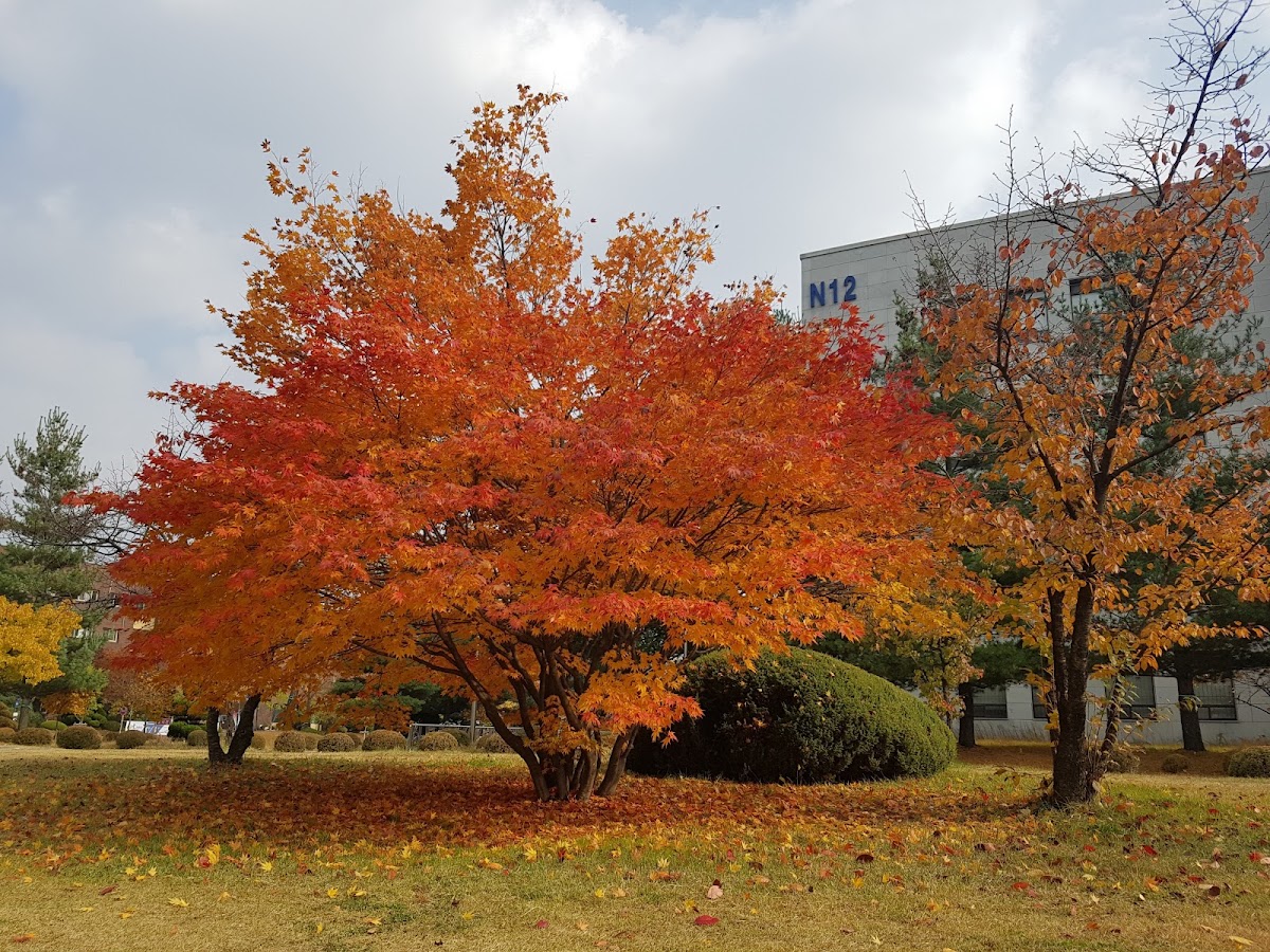 Chungbuk National University photo 4