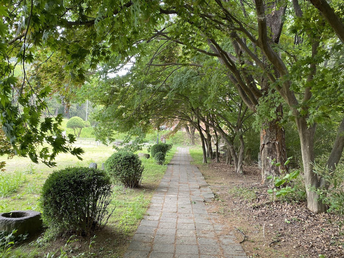 Chungbuk National University photo 5