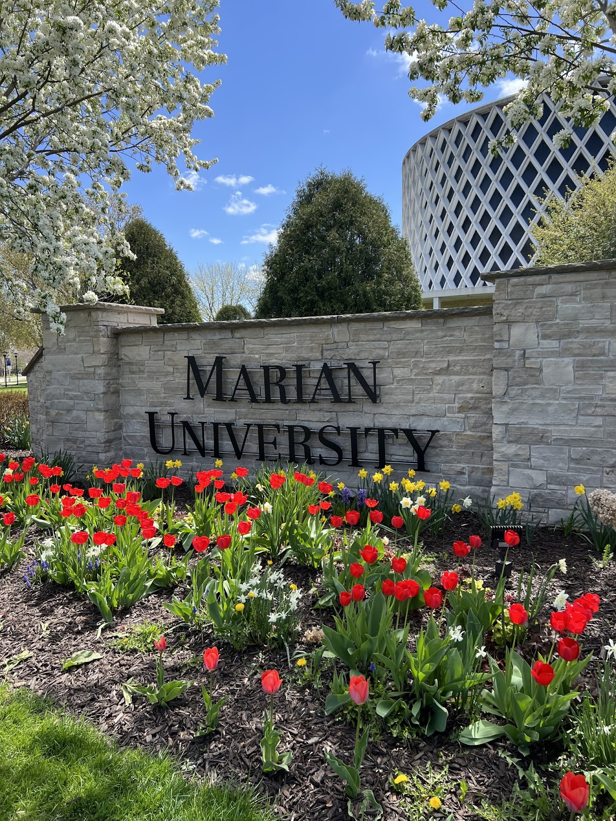 Marian University photo 8