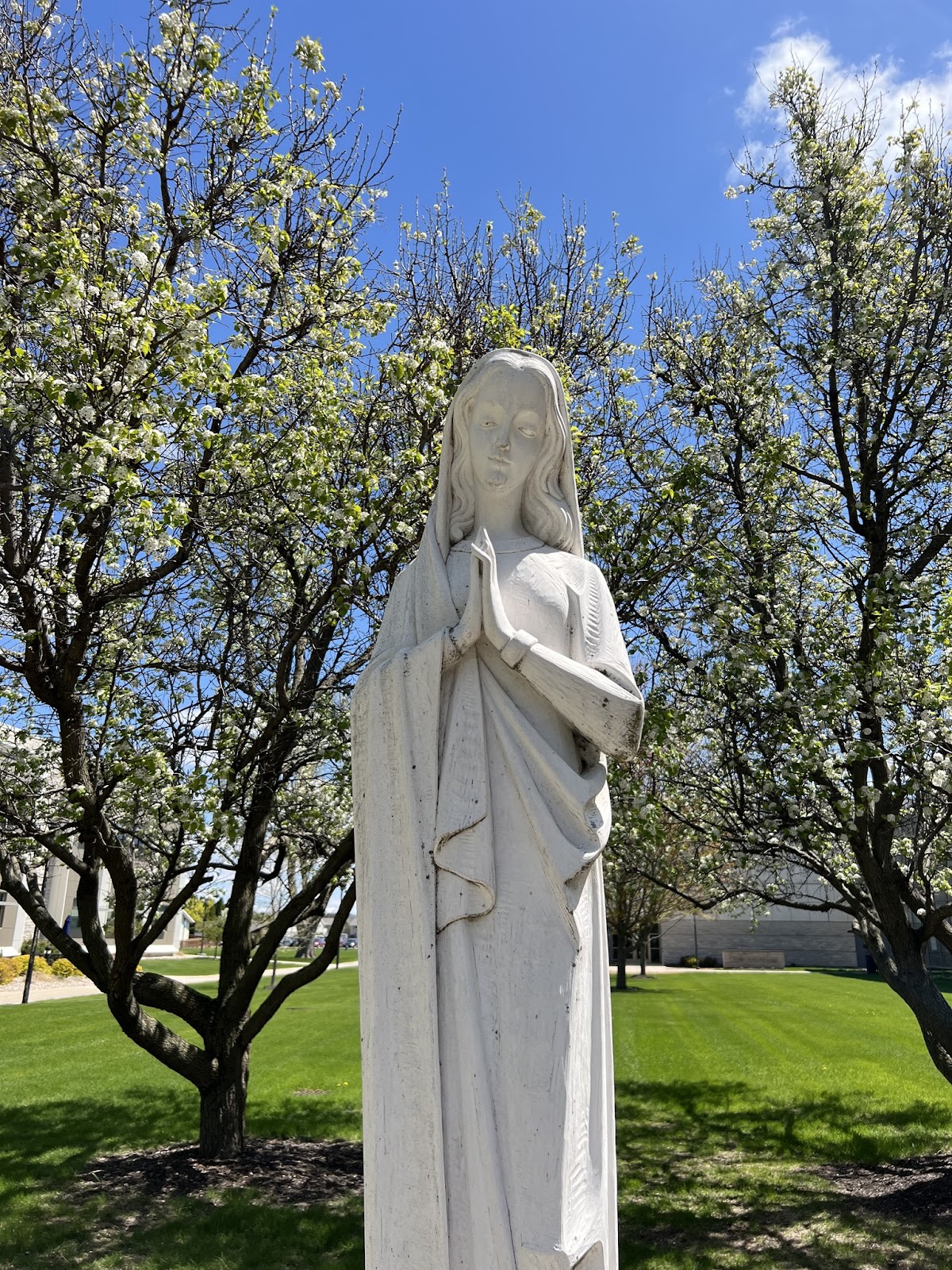 Marian University photo 9