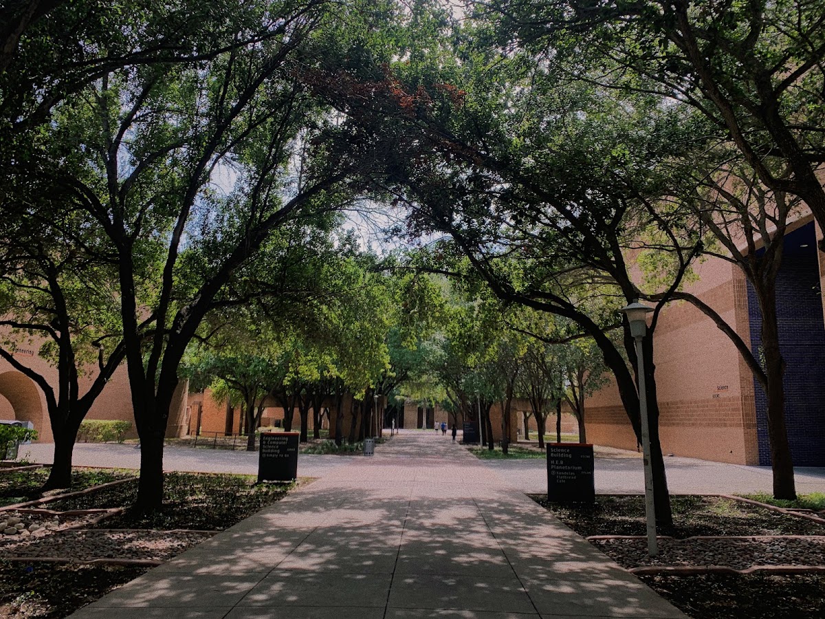 UT Rio Grande Valley photo 3