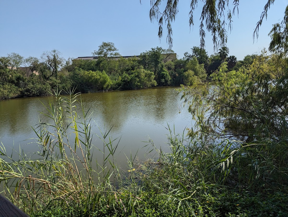UT Rio Grande Valley photo 6