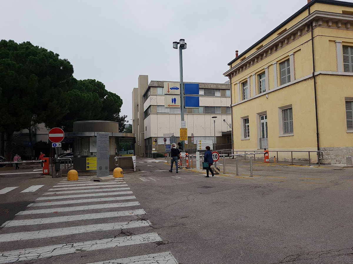 University of Verona photo 2