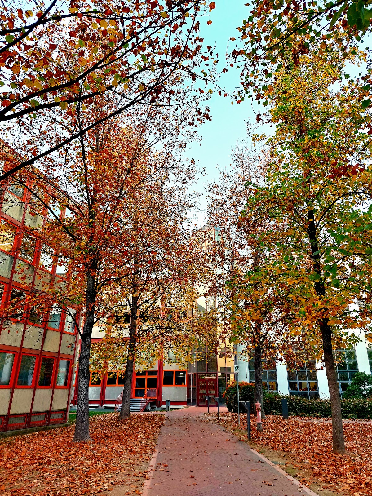 University of Verona photo 6