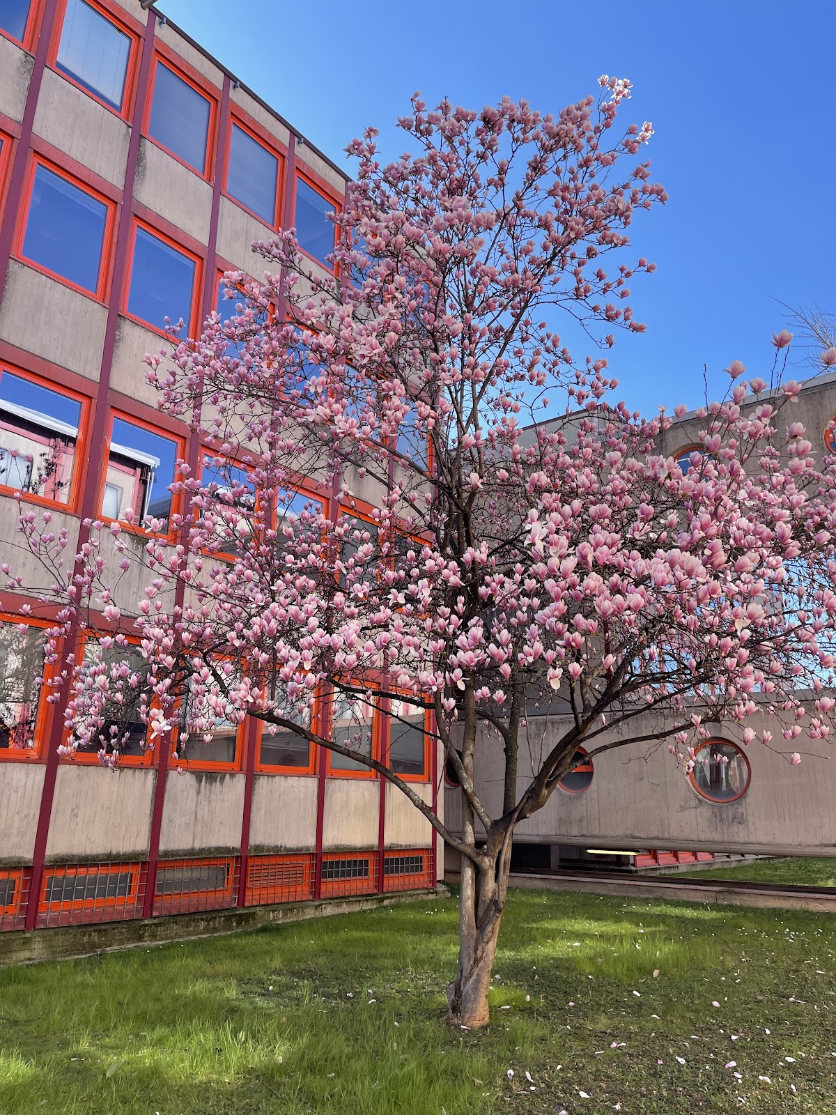 University of Verona photo 7