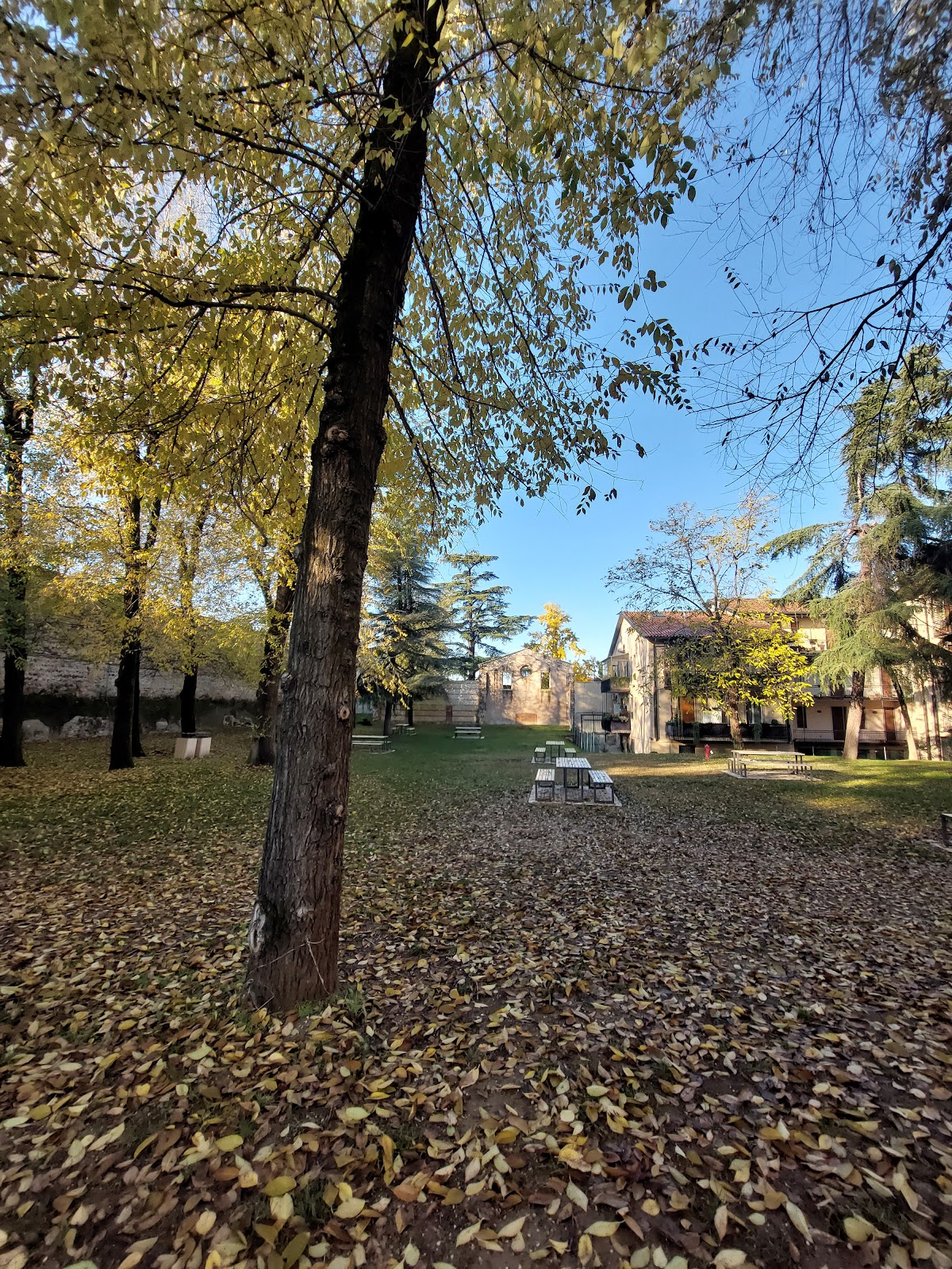 University of Verona photo 8