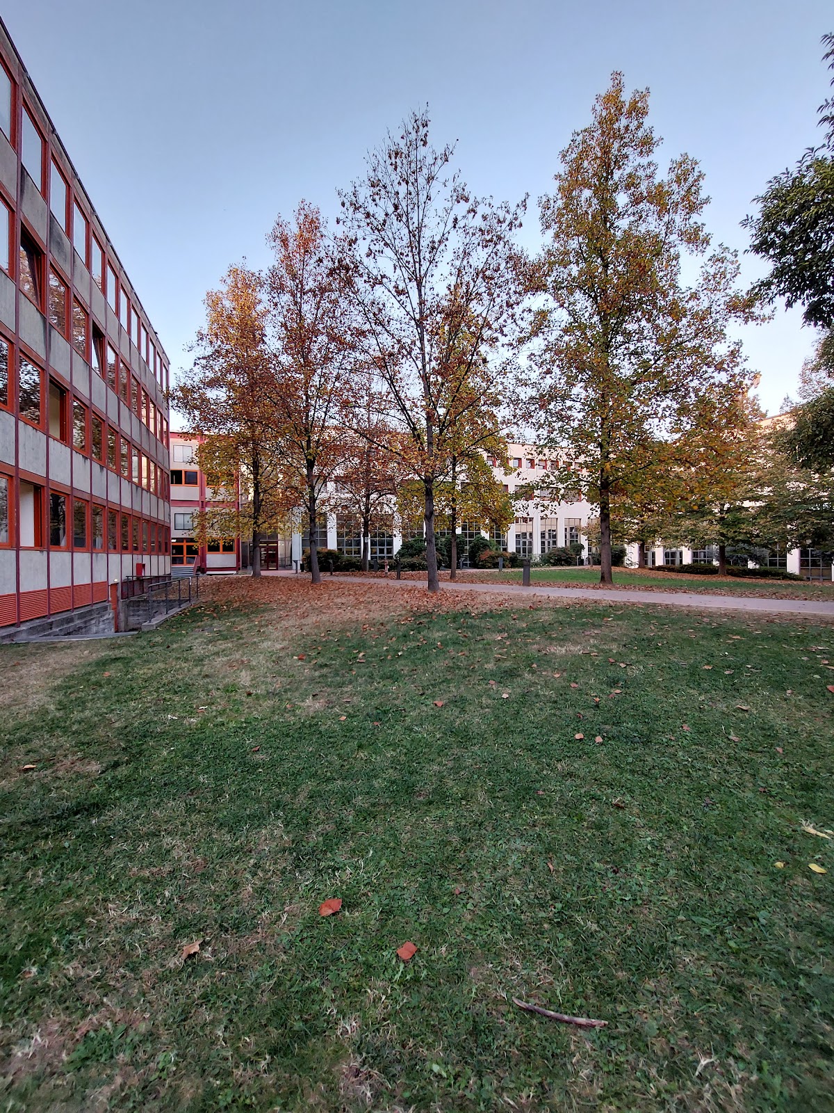 University of Verona photo 9