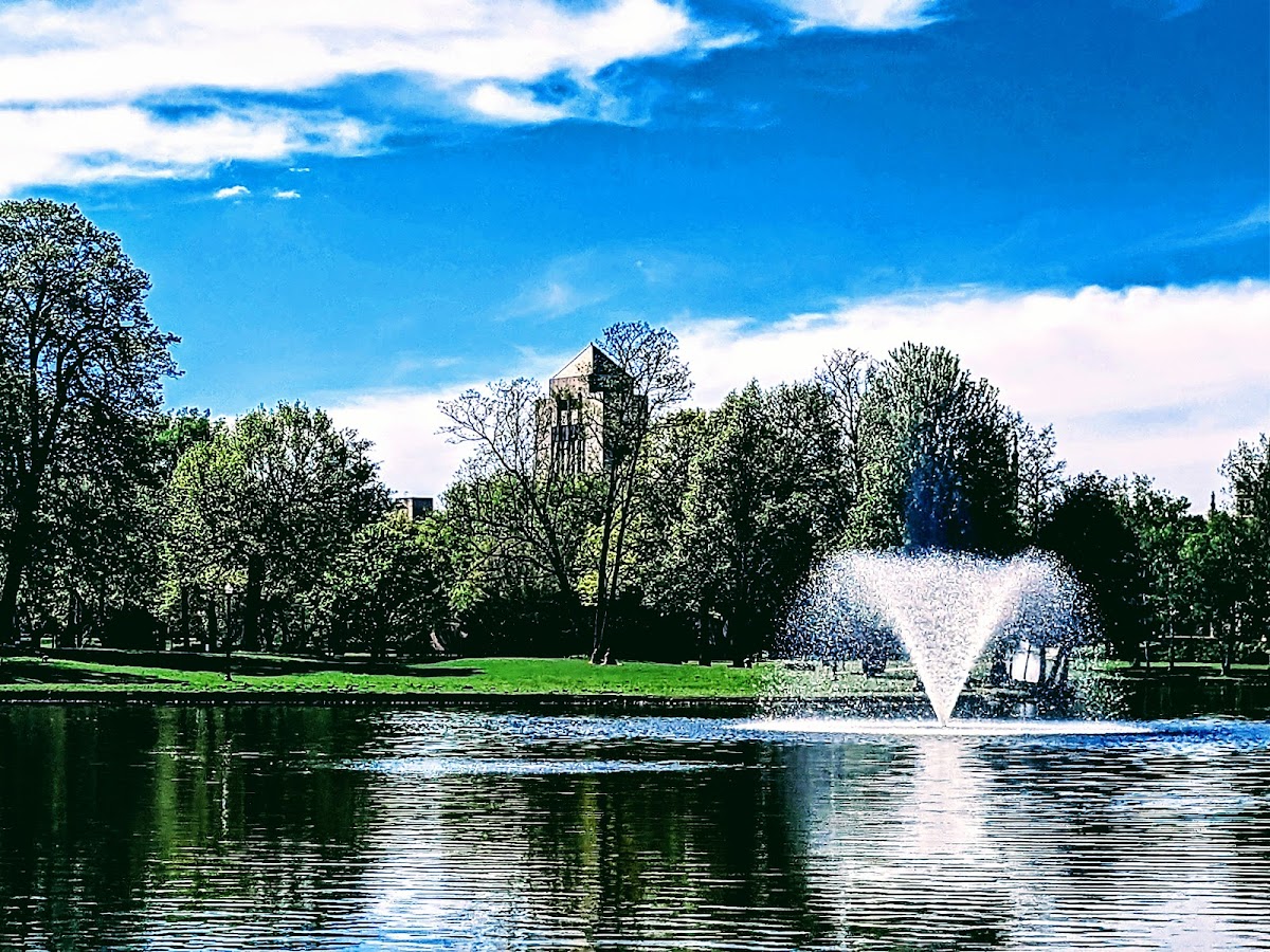 Northern Illinois University photo 5