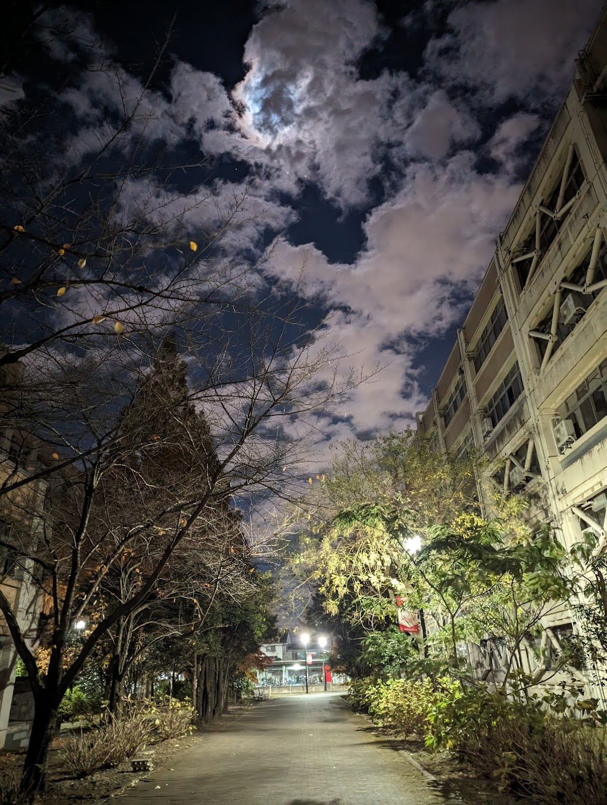 Saitama University photo 7