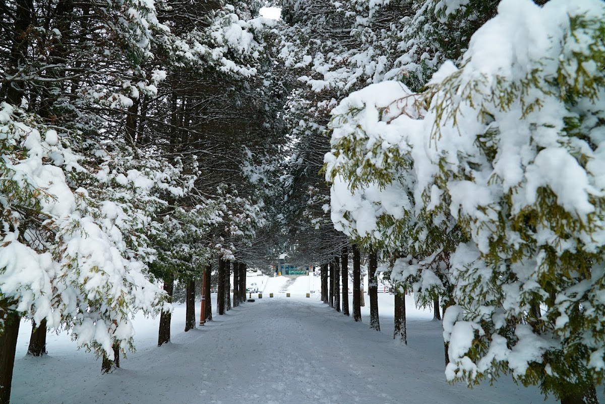 Kongju National University photo 1