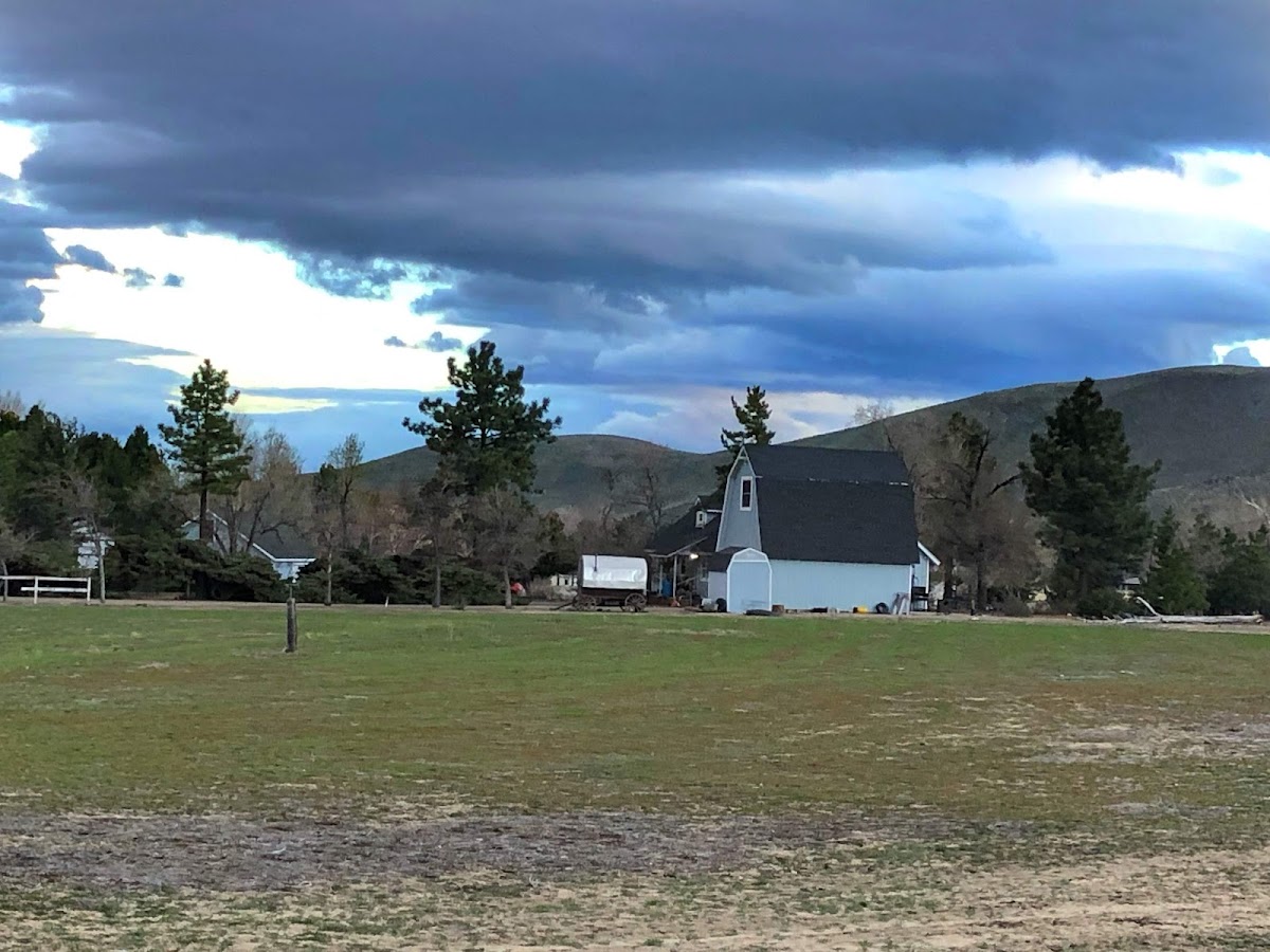 Western Nevada College photo 4