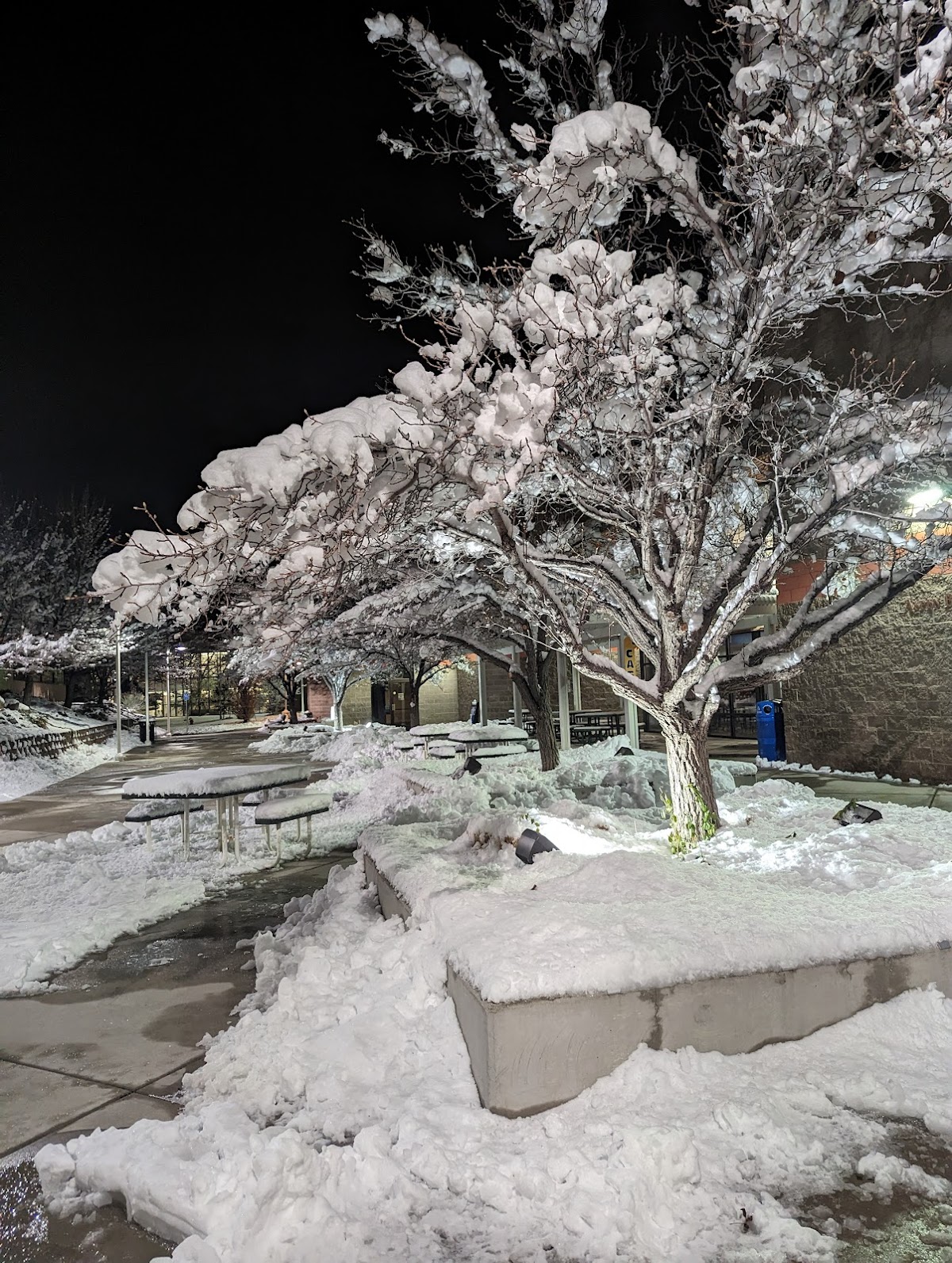 Western Nevada College photo 8