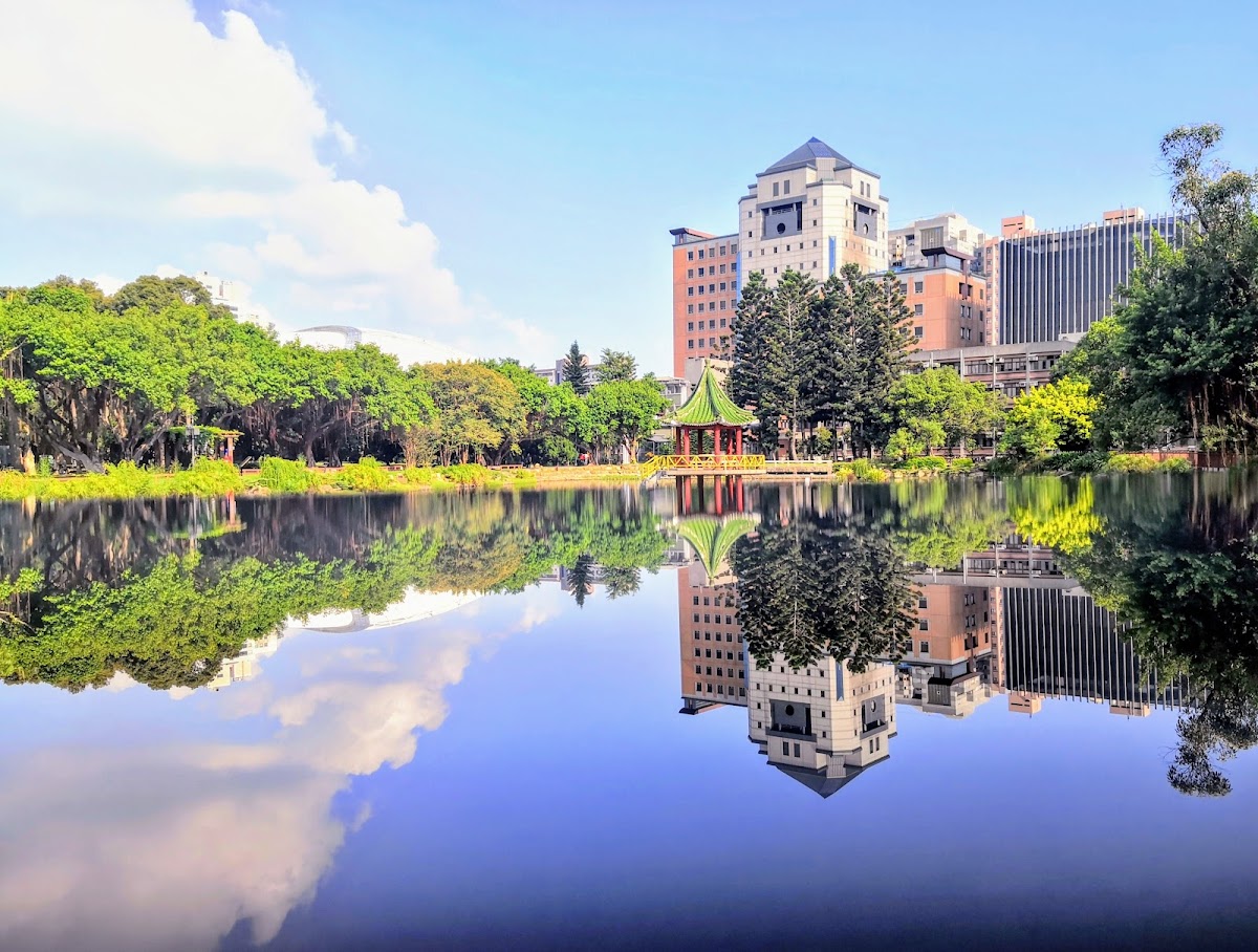National Taiwan University photo 7