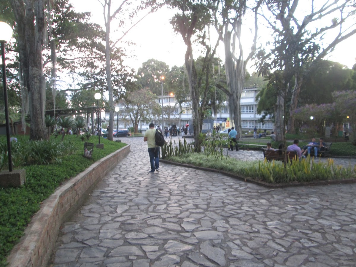 Universidad de Caldas photo 7