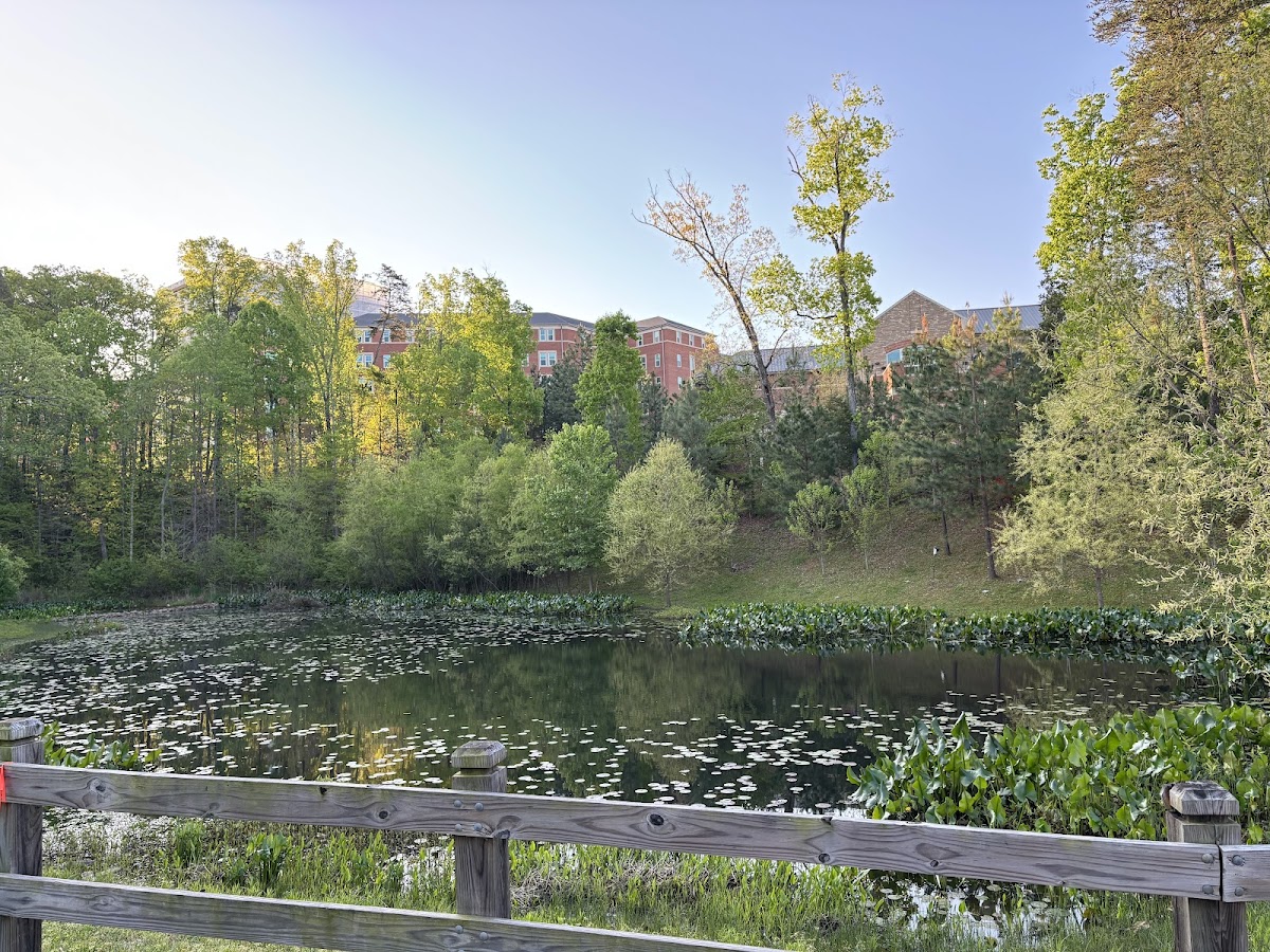 College of 2122 photo 4