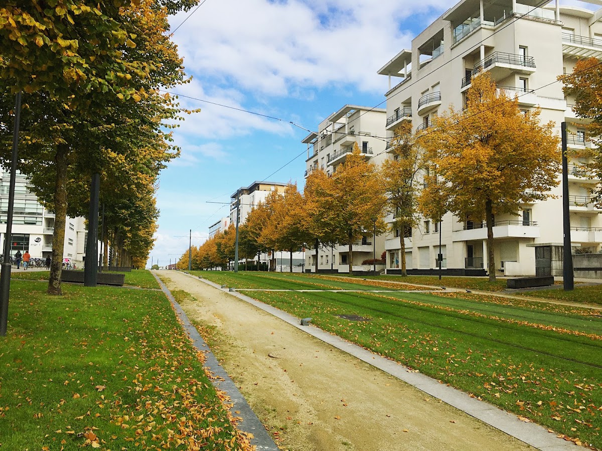 Université d'Angers photo 3