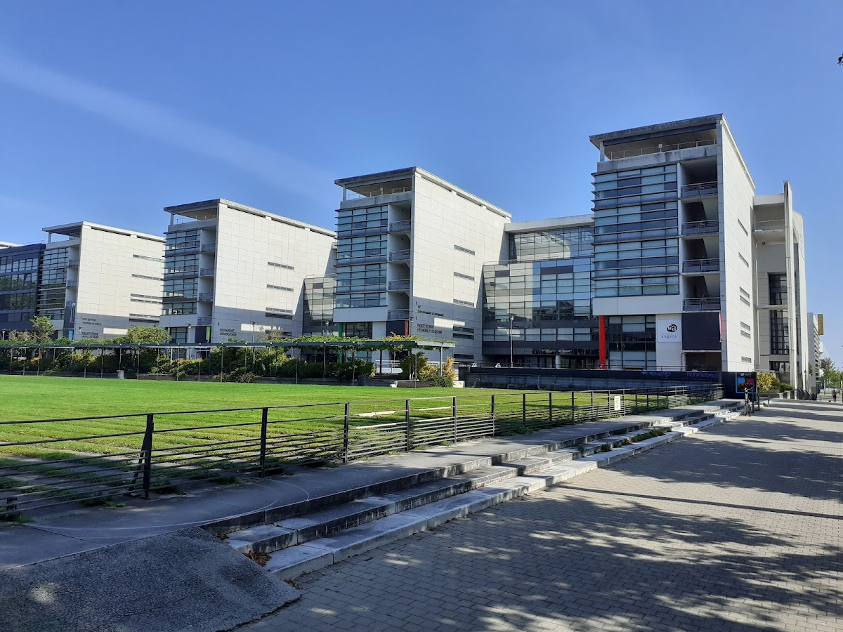 Université d'Angers photo 4