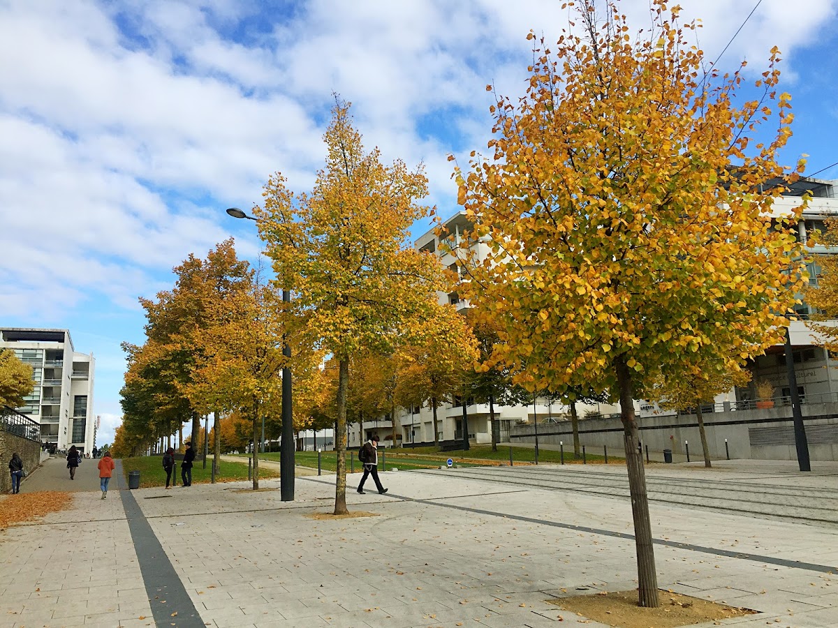Université d'Angers photo 5