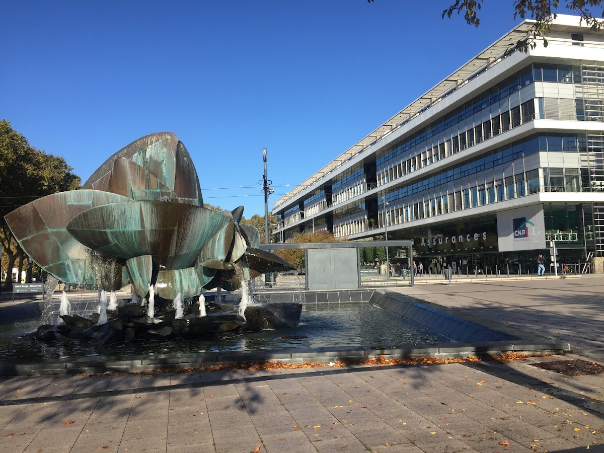 Université d'Angers photo 6