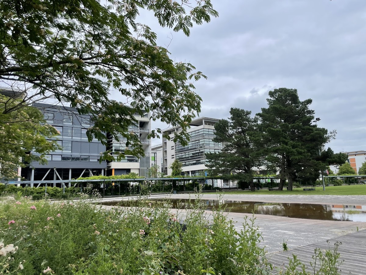 Université d'Angers photo 7