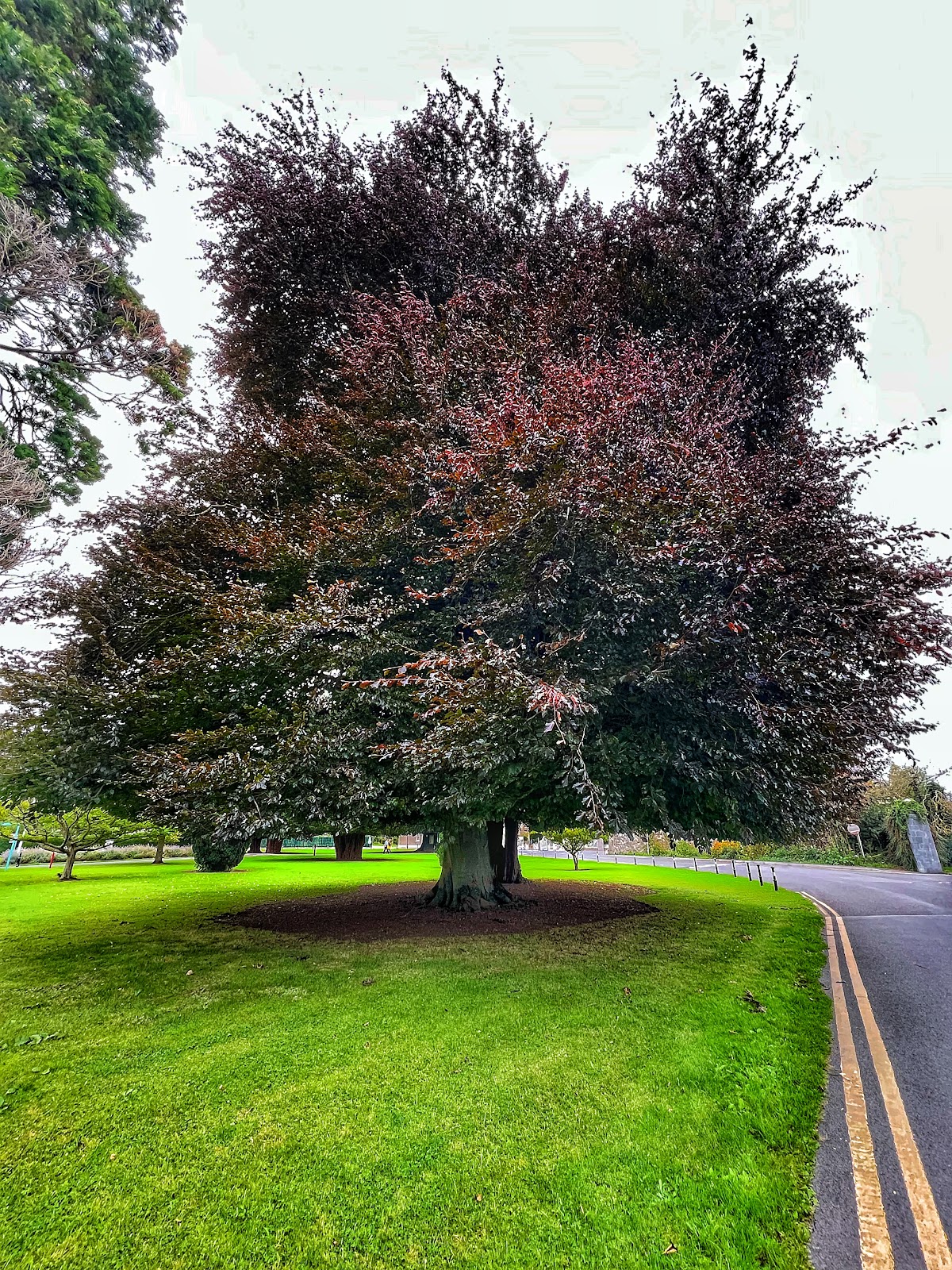 Pontifical University, Maynooth photo 9