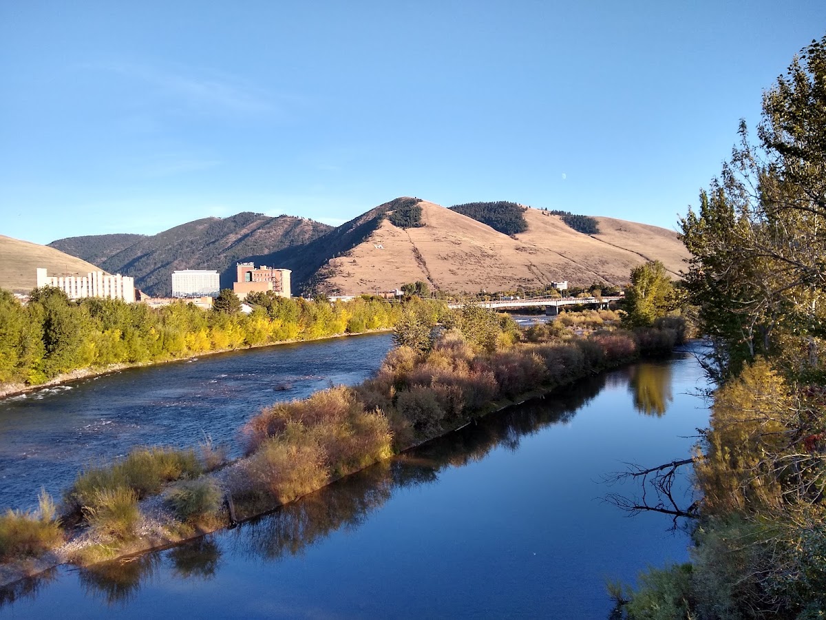 Montana University photo 4