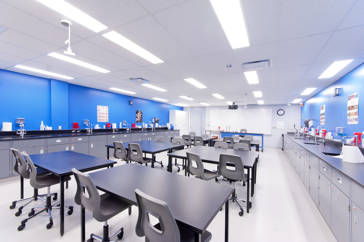 Collège Montmorency photo 3